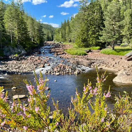 펜션 Luxury Family House 