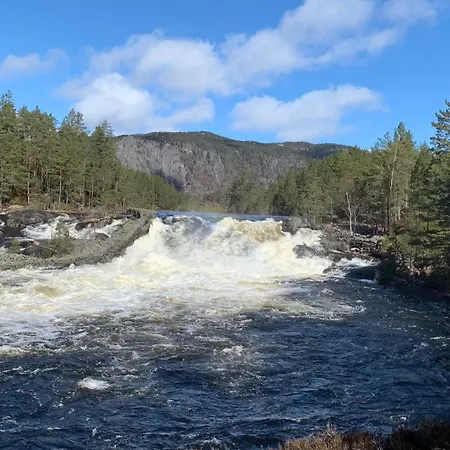 펜션 Luxury Family House 