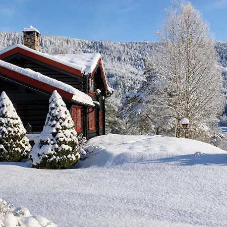 Luxury Family House 